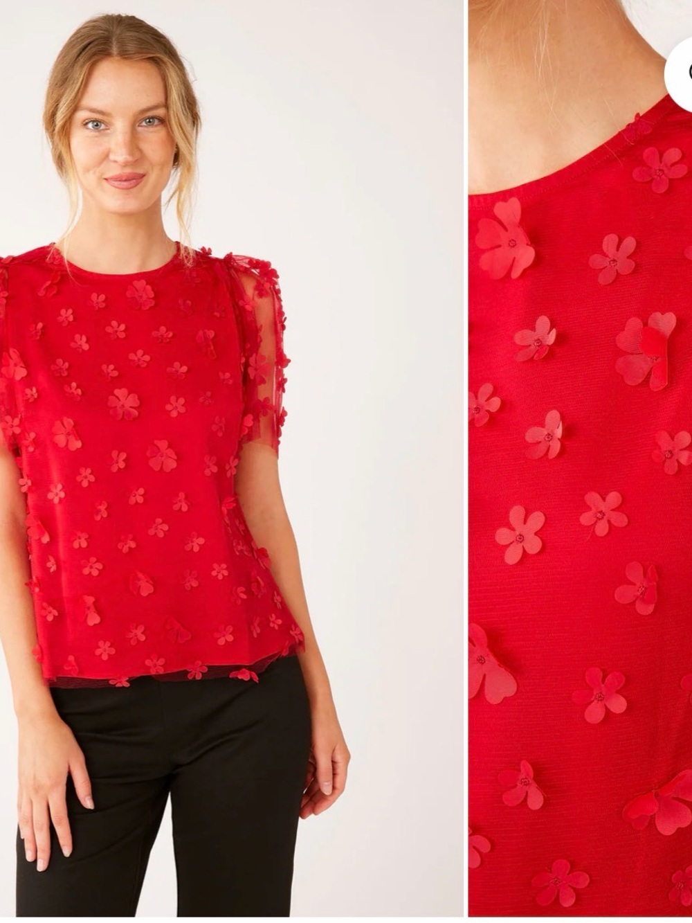 NWT Abbey Glass Marty Top Red Floral Applique Tulle